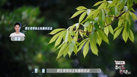 20260621喜欢你日记